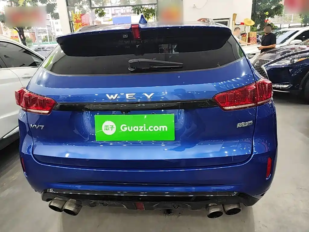 WEY VV7 2019 2019 Upgraded 2.0T Flagship China V