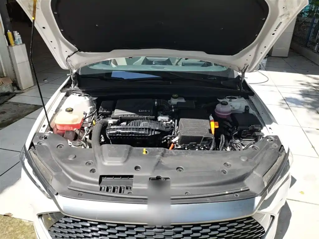 BYD Qin PLUS 2024 Glory Edition DM-i 55KM Leading фото 20