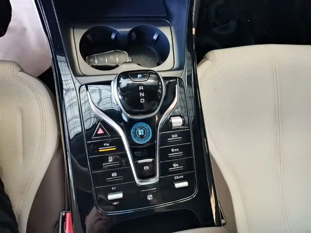 BYD Qin PLUS 2024 Glory Edition DM-i 55KM Leading фото 14
