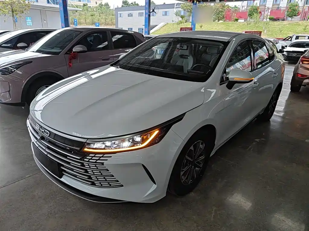 BYD Destroyer 05 2024 Glory Edition DM-i 55KM Luxury
