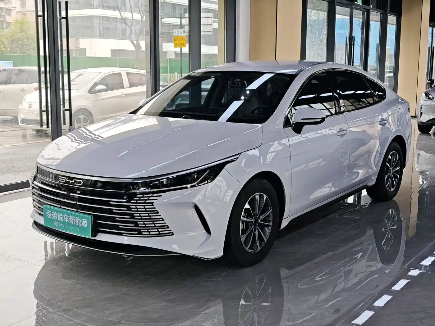 BYD DESTROYER 05