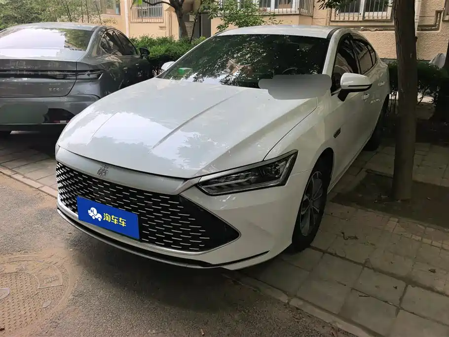 BYD Qin PLUS 2023 Champion Edition DM-i 55KM Leading