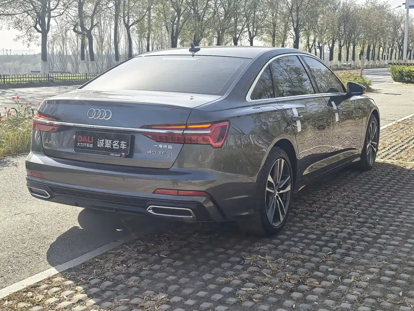 Audi A6L 2020 40 TFSI Luxury Dynamic фото 11
