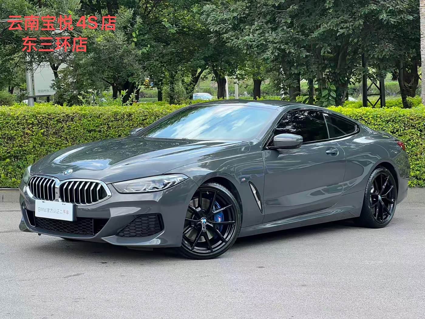 BMW 8 Series