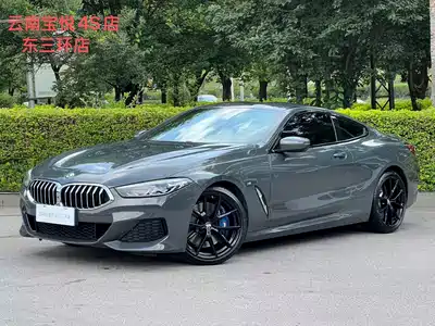 BMW 8