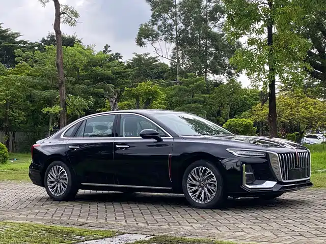 Hongqi H5 2024 2.0T Automatic Smart Connect Flag Smooth Edition — фото 3