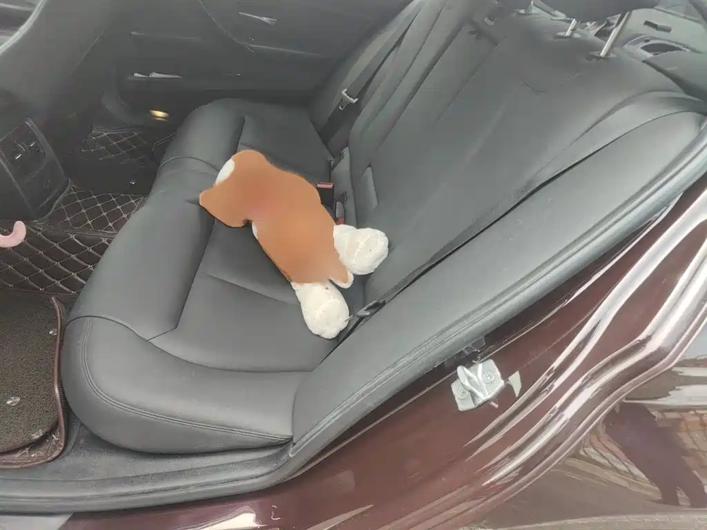 BMW 3 Series 2016 320Li Progressive фото 15