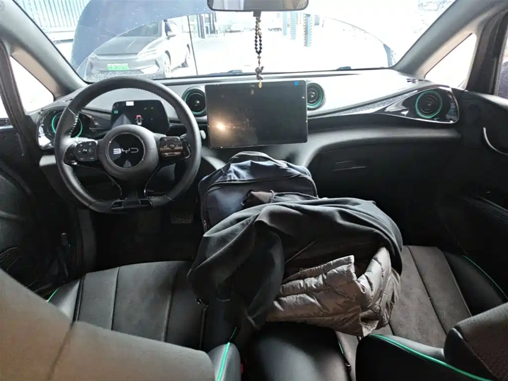 BYD Dolphin 2024 Glory Edition 420km Fashion Edition фото 10