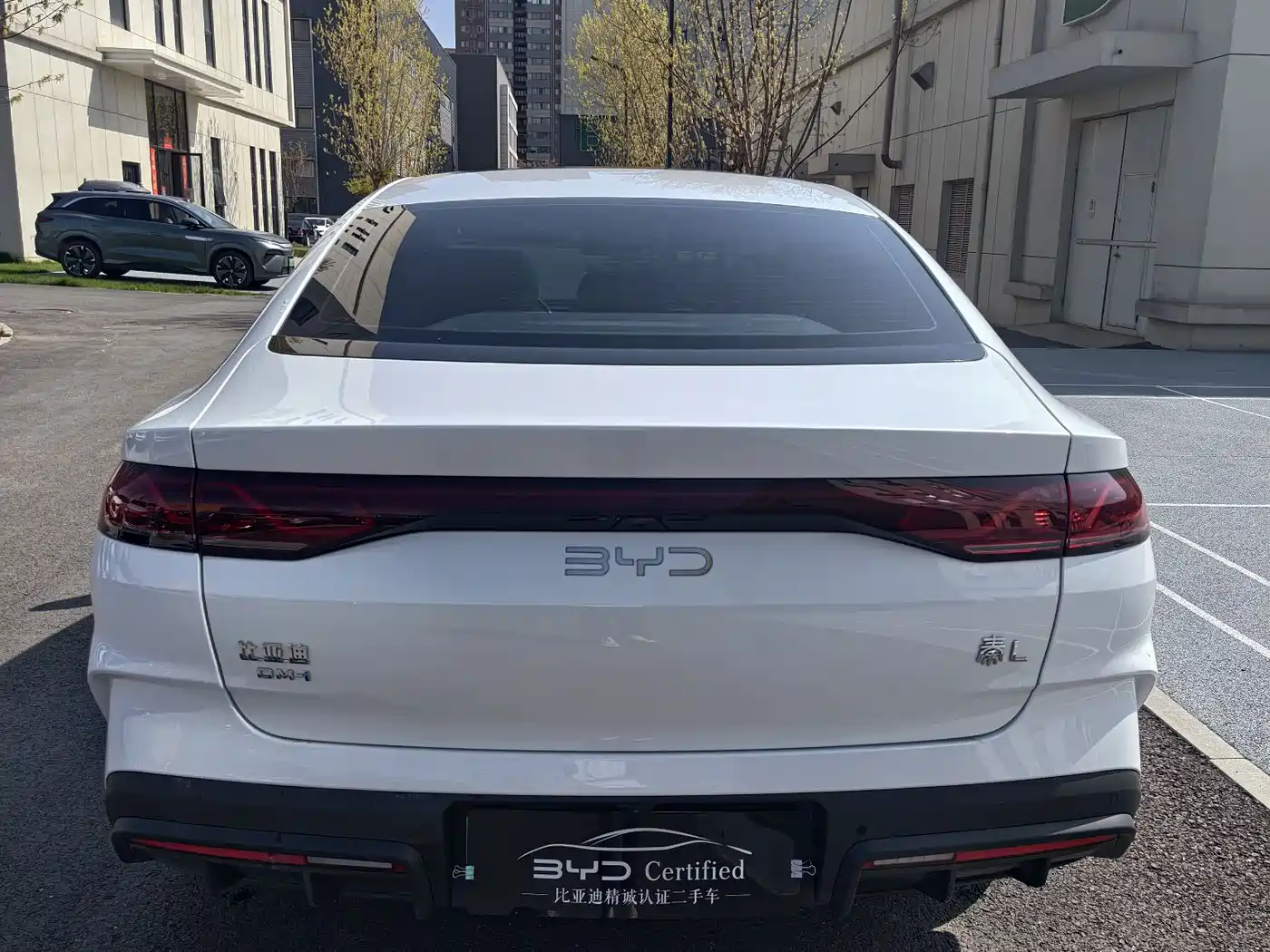 BYD Qin L 2024 DM-i 120KM Leading фото 9