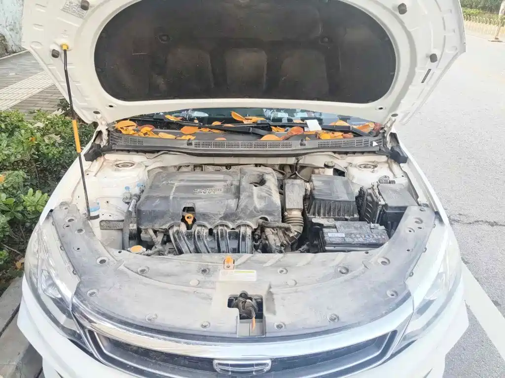Geely Vision 2020 2020 1.5L Manual Asian Games Edition