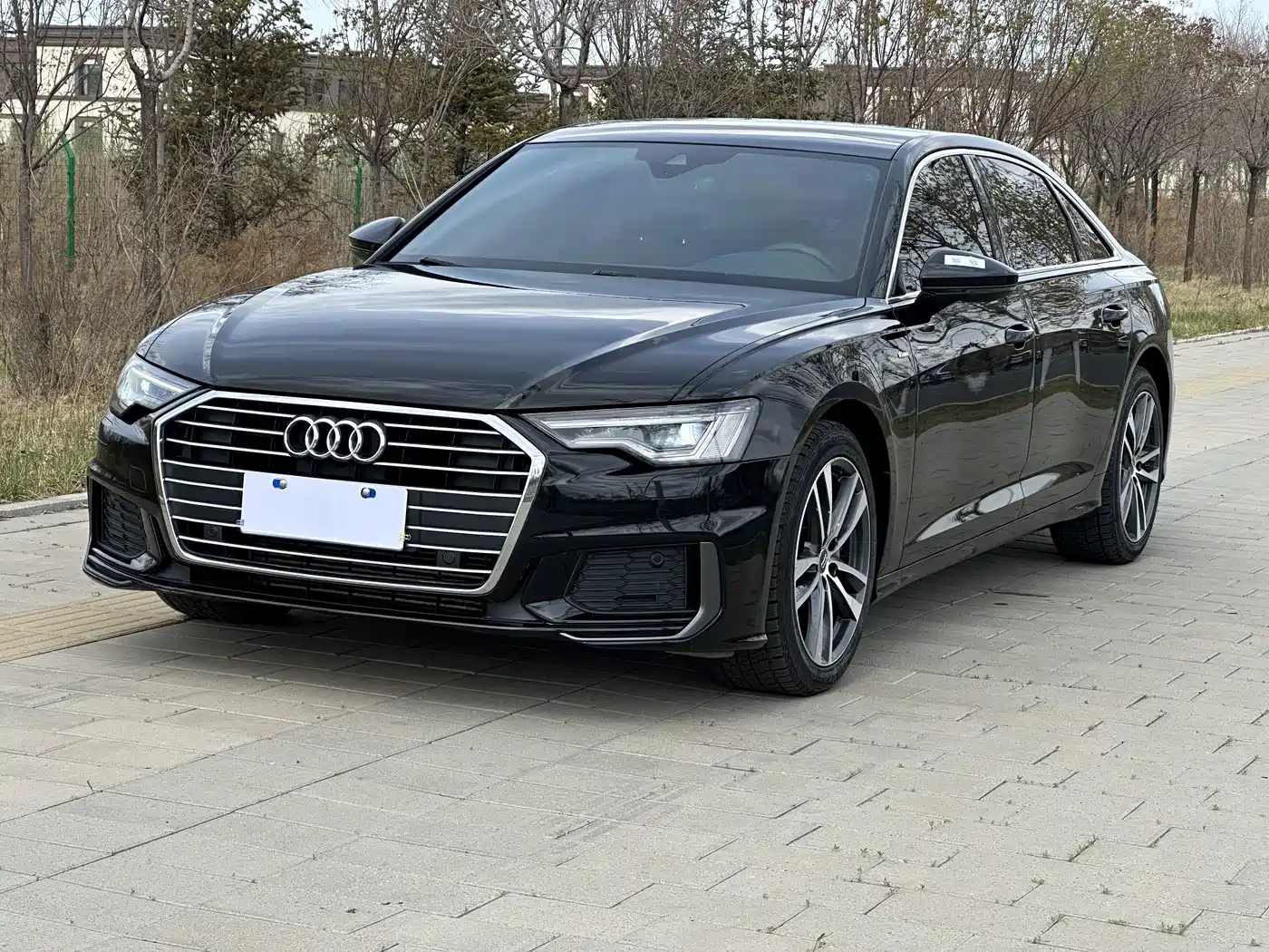 Audi A6L 2019 40 TFSI Luxury Dynamic