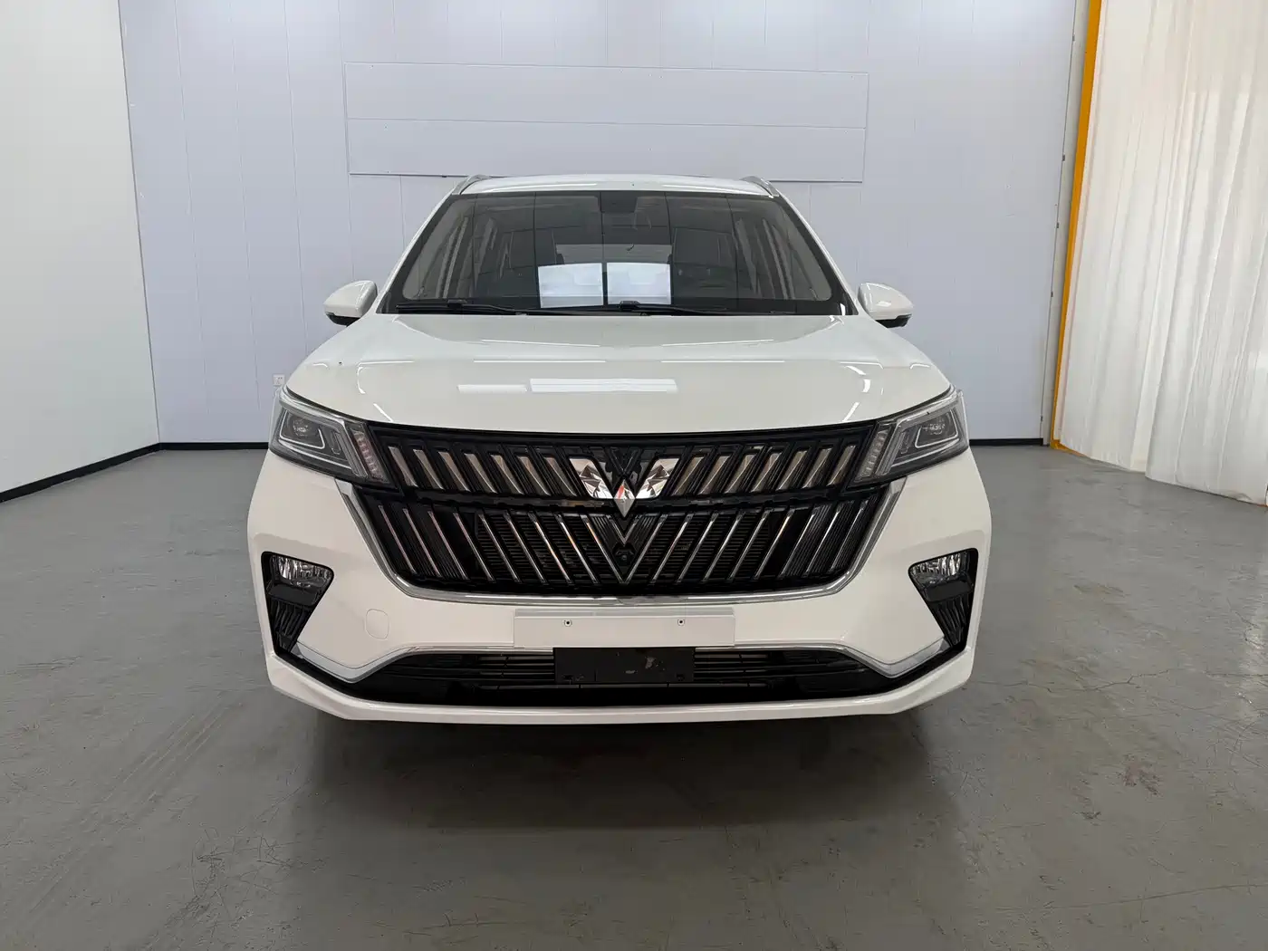 Wuling Motors Wuling Jiachen 2022 2022 1.5T CVT Exclusive Flagship Model