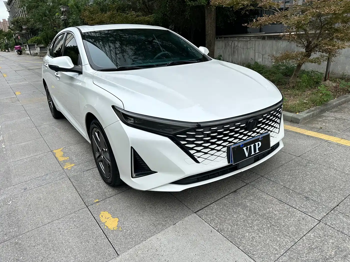 Changan Ruicheng PLUS 2023 2023 1.5T DCT Luxury