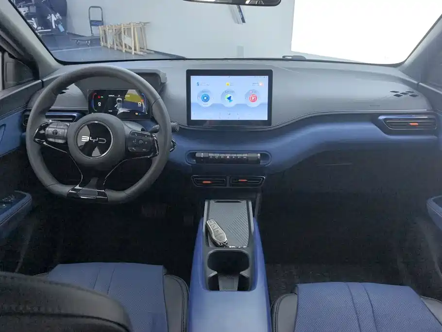  BYD Seagull 2025 305km Vitality 12