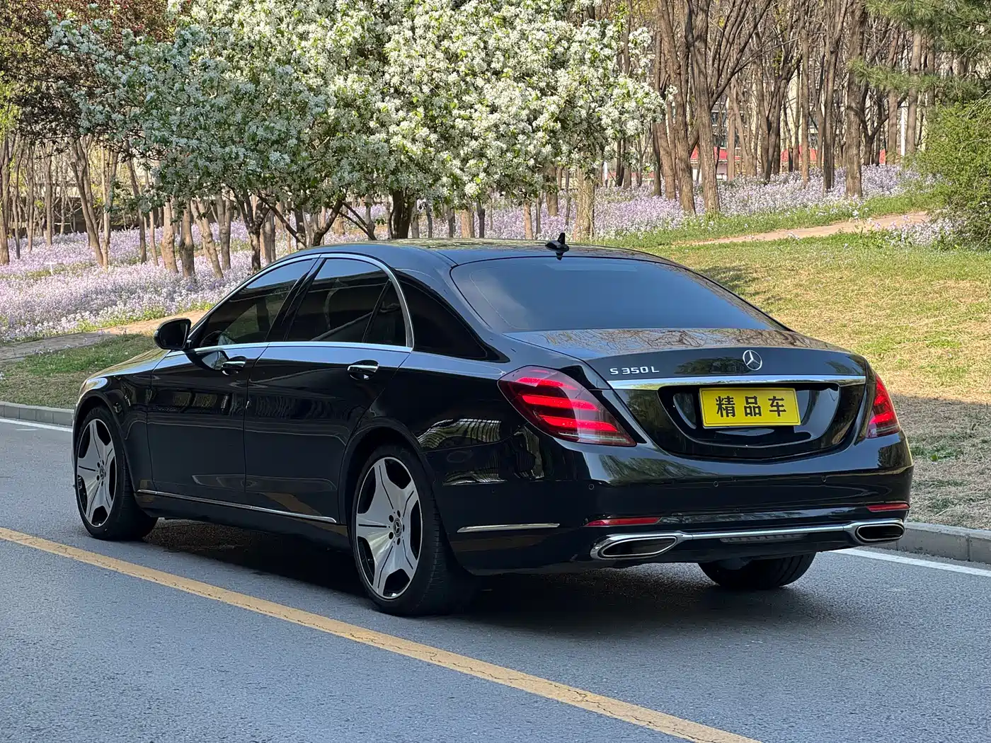 Mercedes-Benz S-Class 2018 S 320 L фото 6