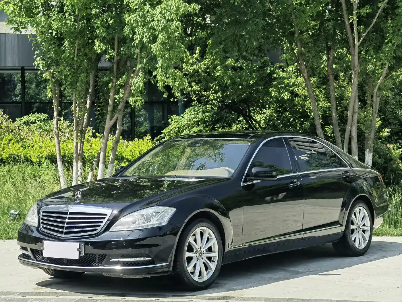 Mercedes-Benz S-Class 2010 S 300 L Luxury