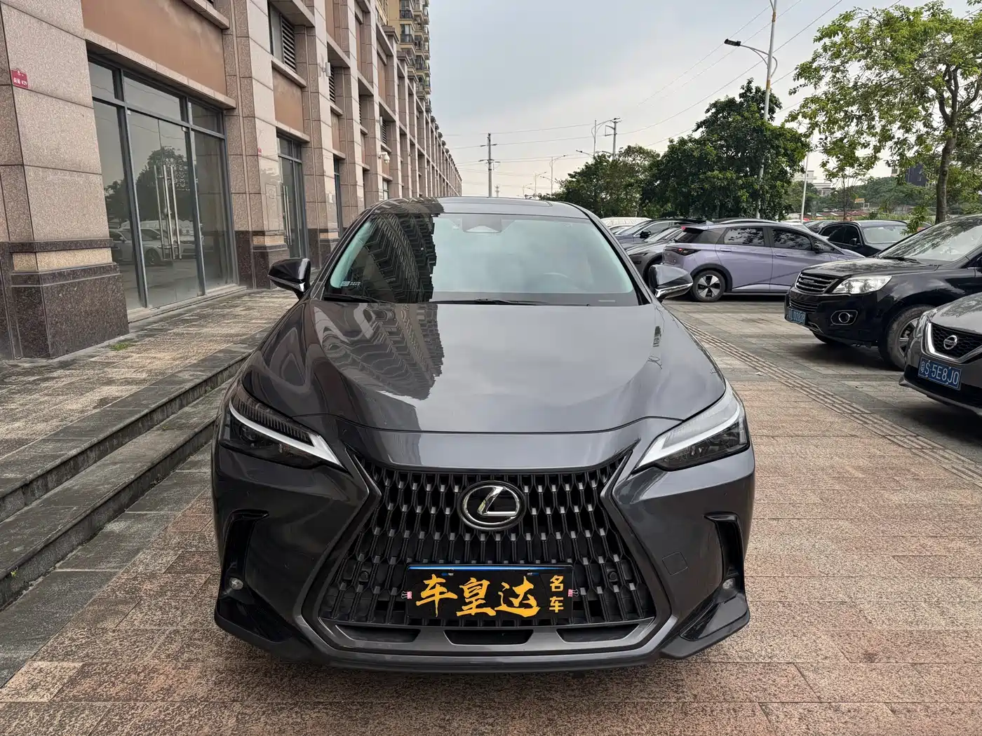 LEXUS NX