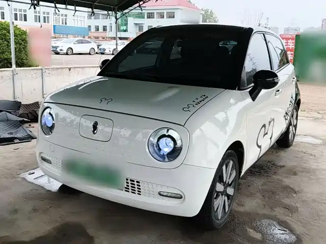  Ora Ora Black Cat 2021 351km Standard Model