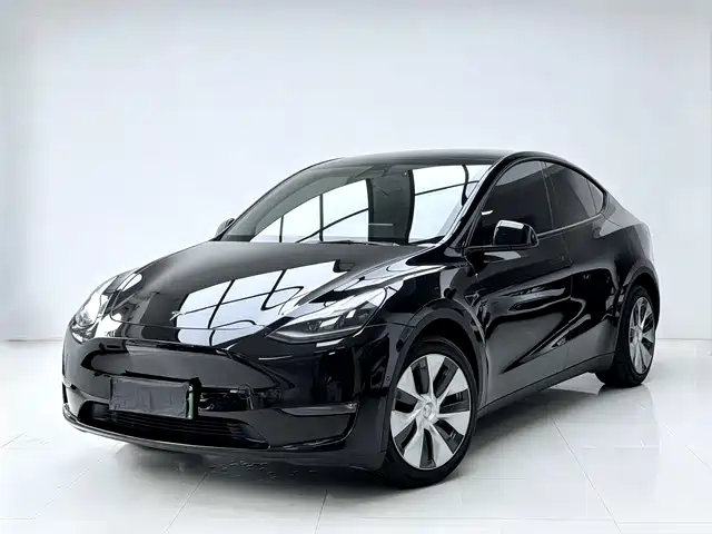 Tesla Model Y 2021 Standard Range Rear-Wheel Drive