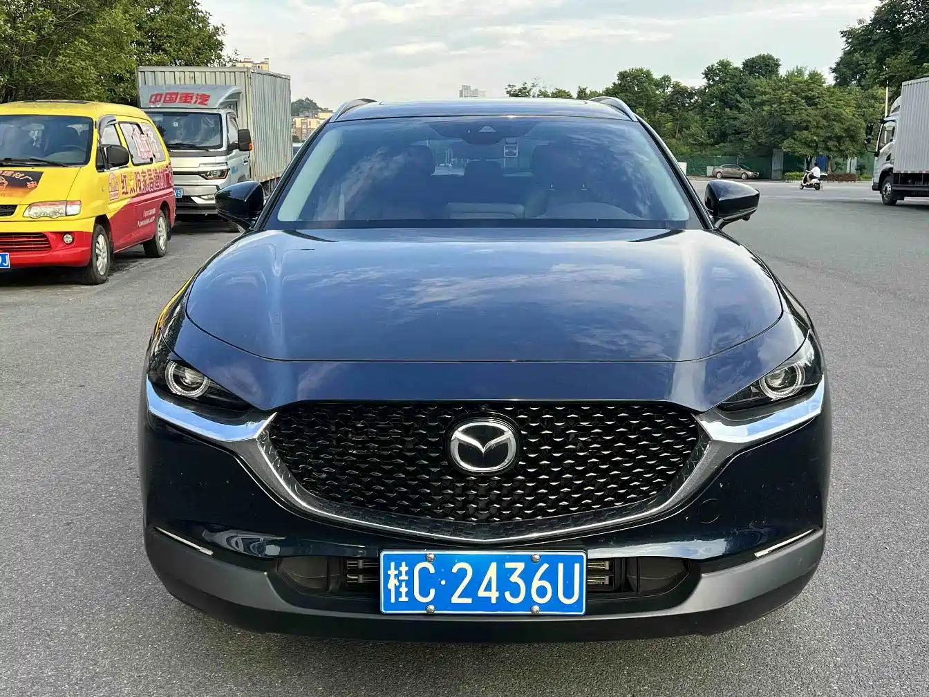 Mazda CX-30 2023 2021 2.0L Auto Premium Joy Type