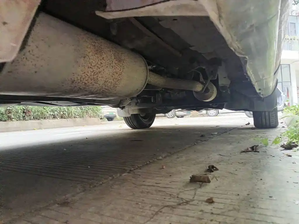 Фото 9 - Dongfeng Fengxing Lingzhi
