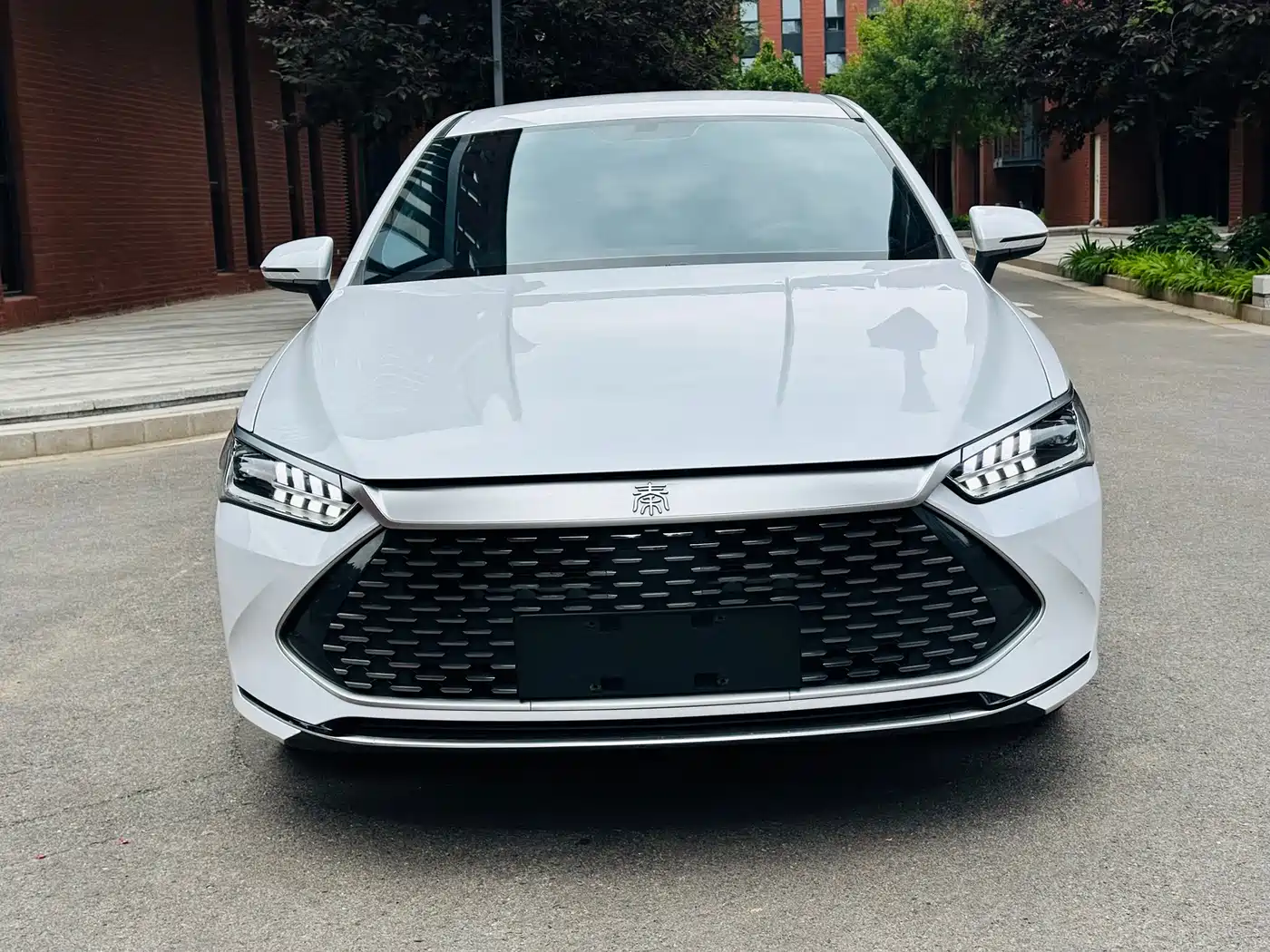 BYD Qin PLUS 2024 Glory Edition DM-i 55KM Leading фото 2