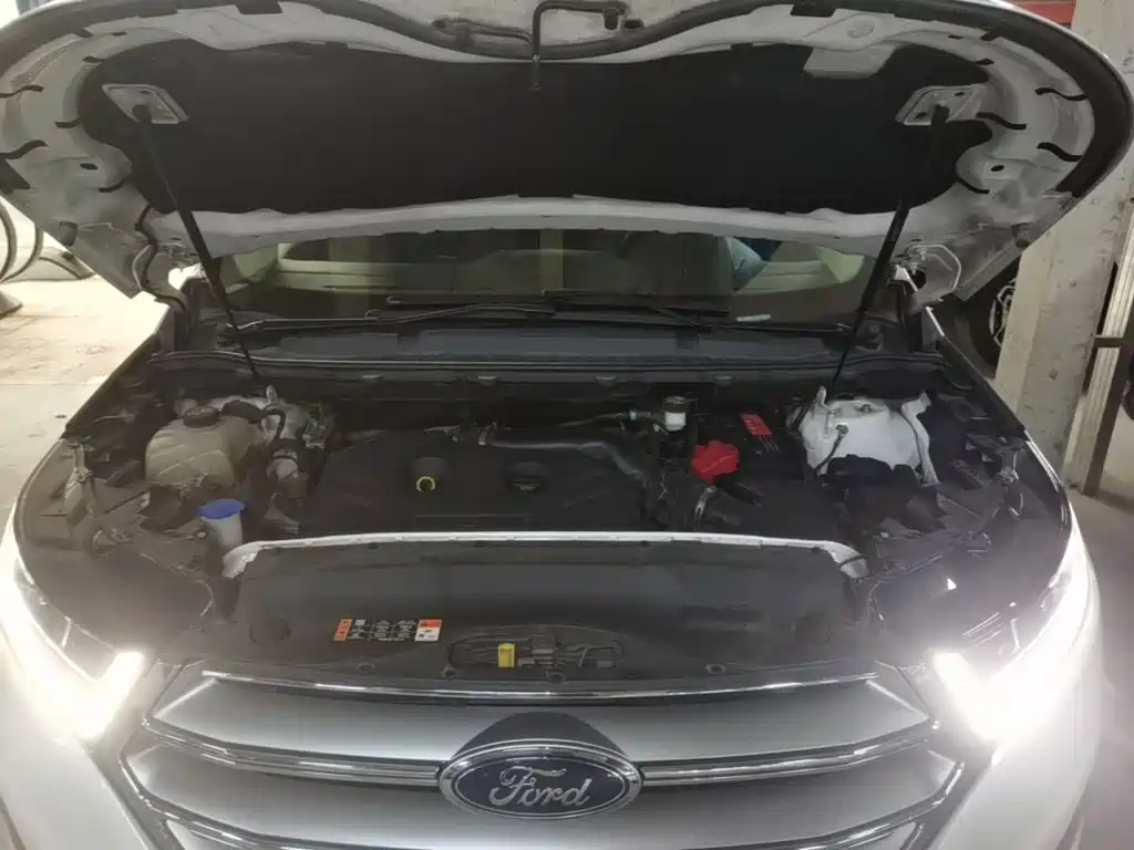 Ford Edge 2015 2015 2.0T GTDi 4WD Luxury