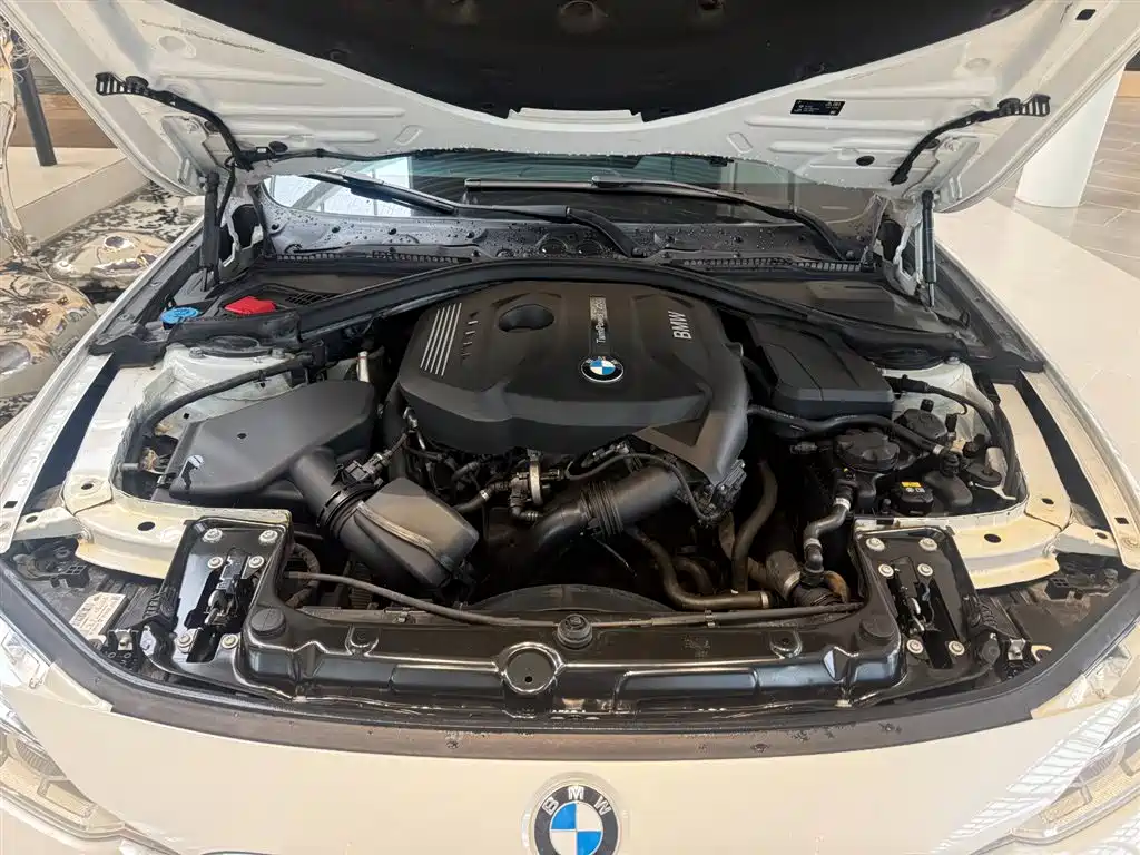 BMW 3 Series 2018 320Li Fashion Style фото 4