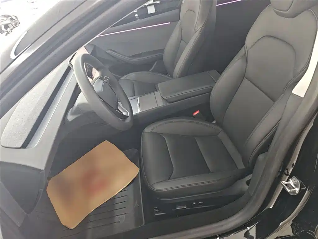 Tesla Model 3 2025 2025 Model Rear-Wheel Drive Edition