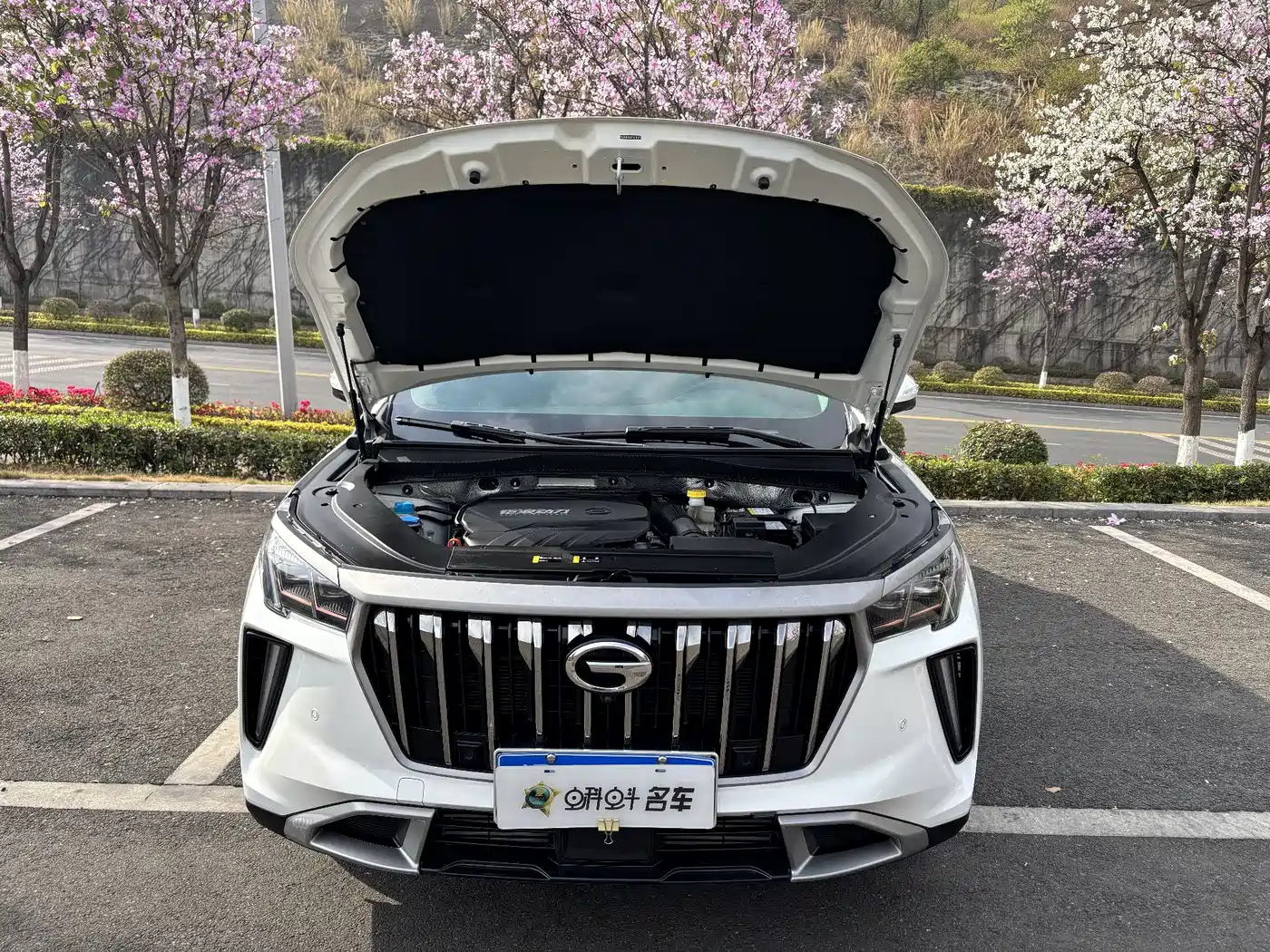 GAC Trumpchi Trumpchi GS4 PLUS 2023 390T Auto Nebula Edition фото 14
