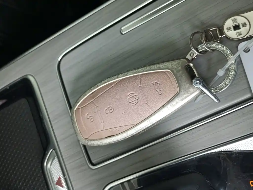Hongqi HS5 2025 2025 2.0T 2WD Qixiang Pro