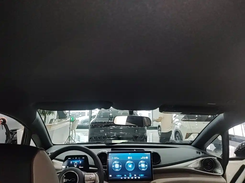 BYD Dolphin 2026 2025 420km Freedom Edition
