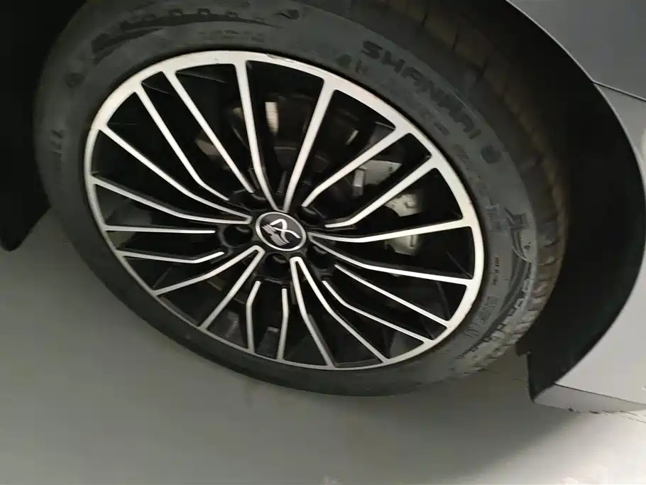 BYD Han 2023 DM-i Champion Edition 200KM Exclusive фото 6