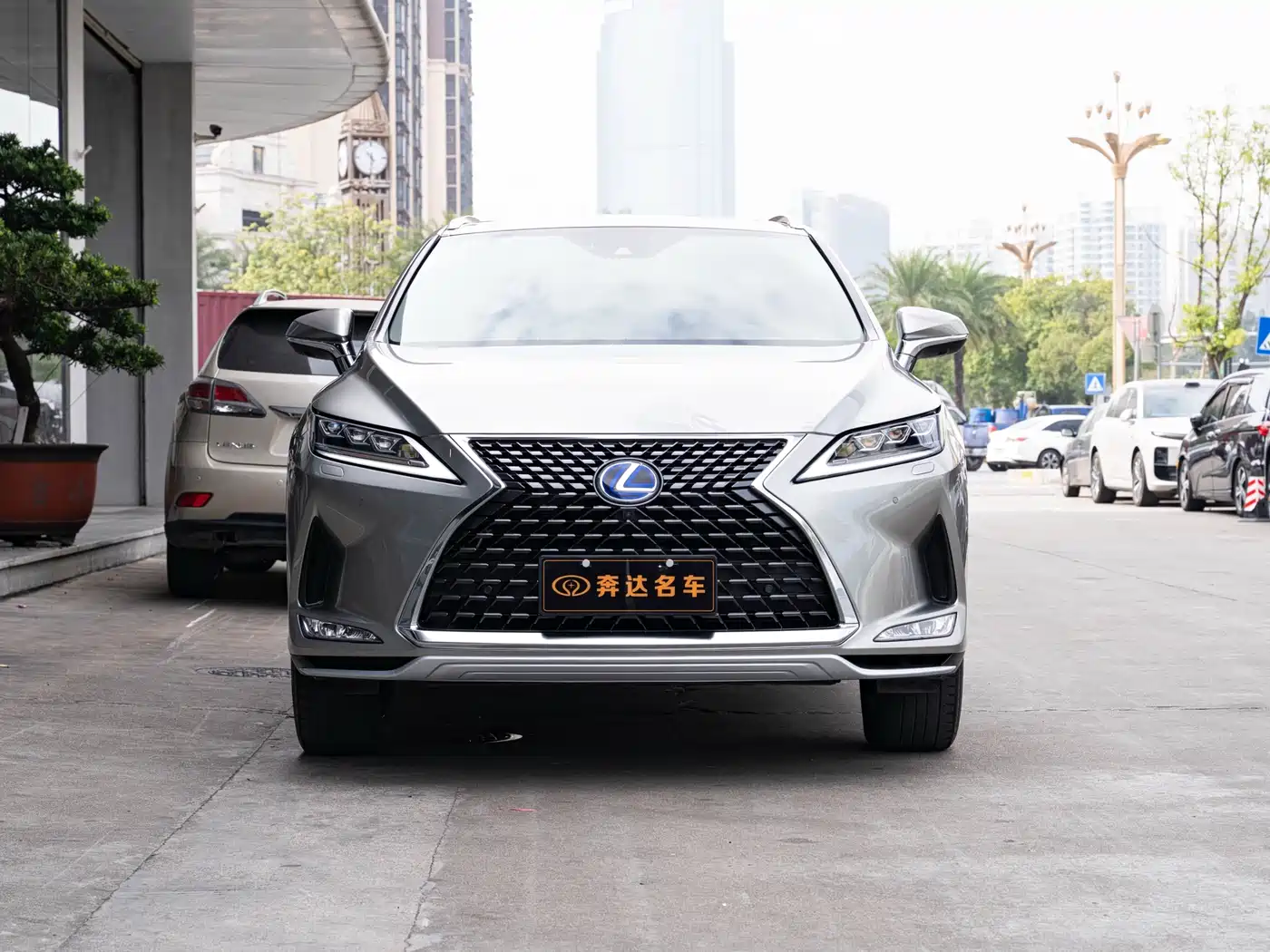 LEXUS RX