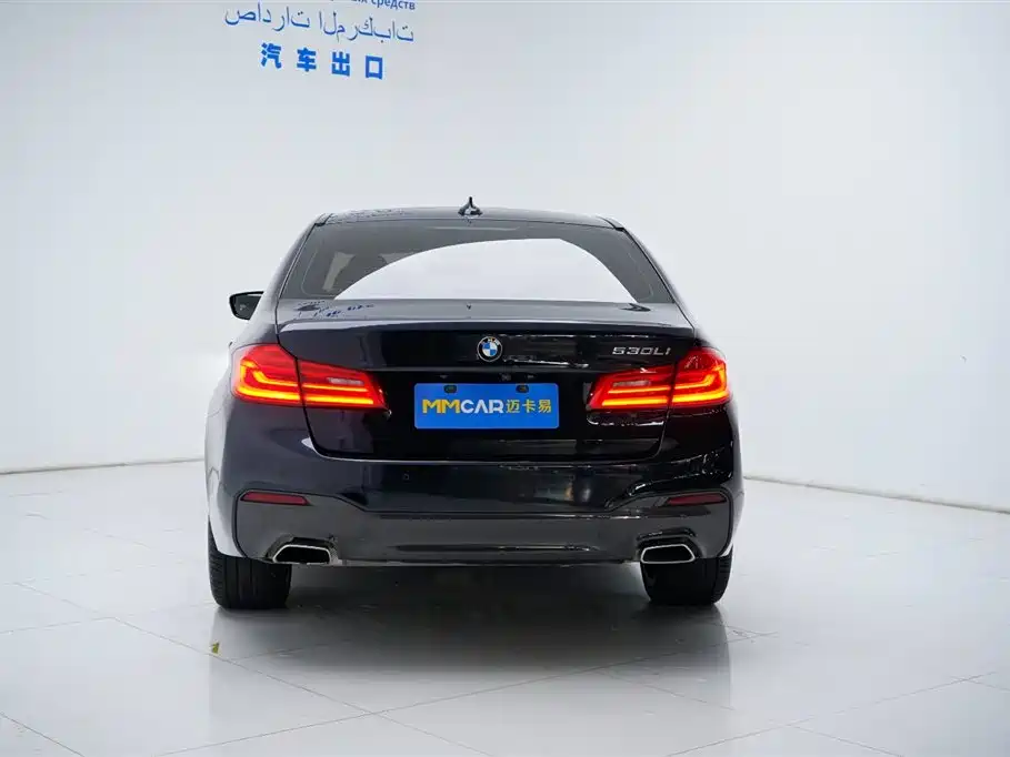 BMW 5 Series 2019 530Li Leading M Sport Package фото 13