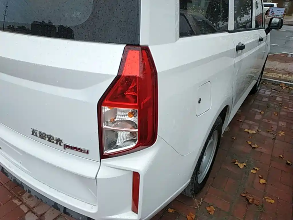 صورة 8 - Wuling Motors Wuling Hongguang PLUS