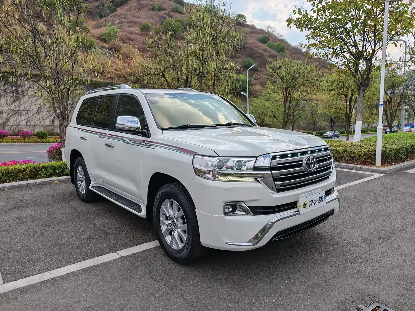 Toyota Land Cruiser (Import) фото 3