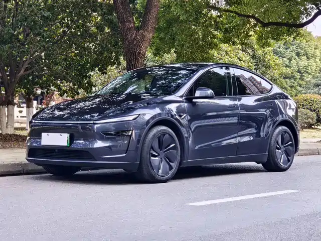 Tesla Model Y 2025 Rear-Wheel Drive