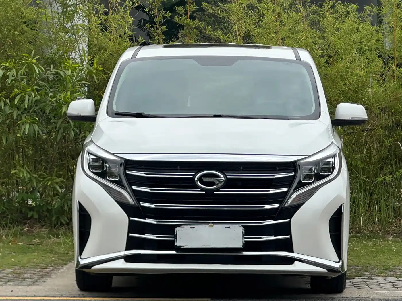 GAC Trumpchi Trumpchi M8 2021 Leading Show Series 390T Luxury Edition фото 2