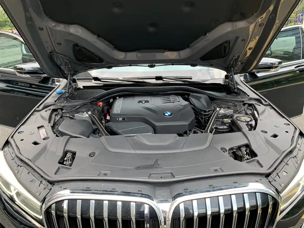 BMW 7 Series 2021 Model 730Li Luxury Package фото 19