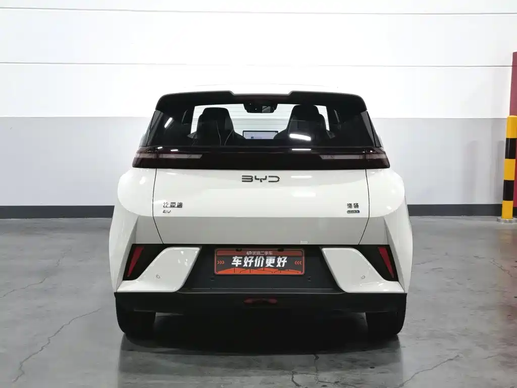 صورة 4 - BYD Seagull