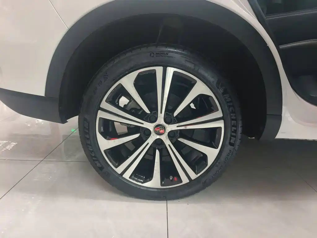 Roewe RX5 eMAX 2020 2020 500PHEV Smart Cockpit Flagship Edition