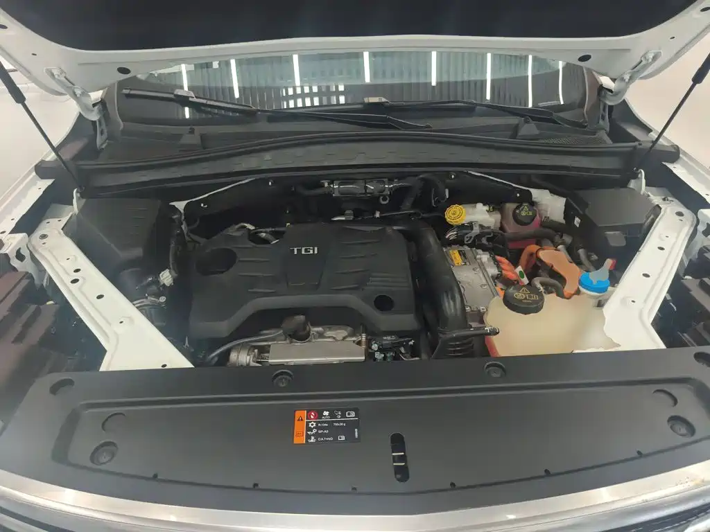 Roewe RX5 eMAX 2020 2020 500PHEV Smart Cockpit Flagship Edition