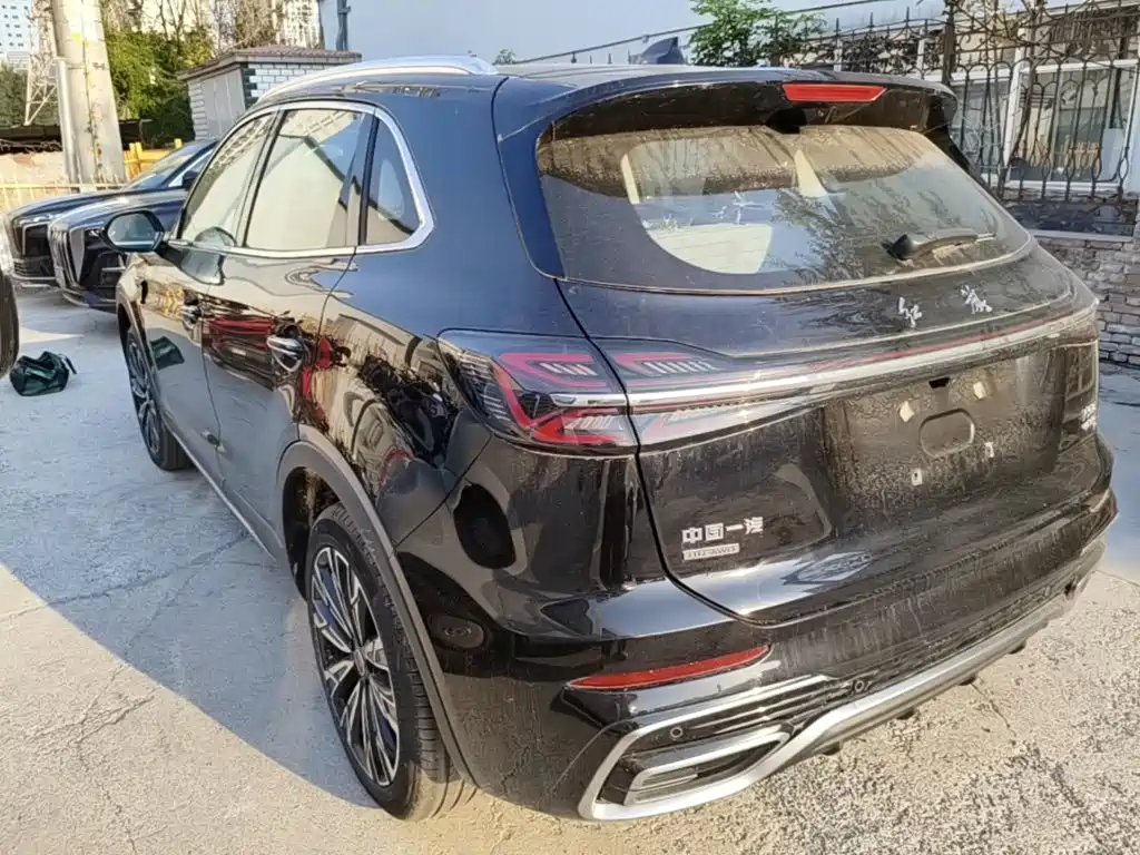 صورة 5 - Hongqi HS5