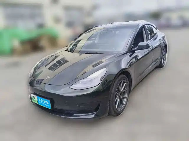 Tesla Model 3 2022 Model Rear-Wheel Drive Version — фото 1