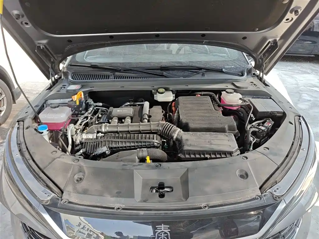 BYD Qin L 2024 DM-i 80KM Superior фото 20