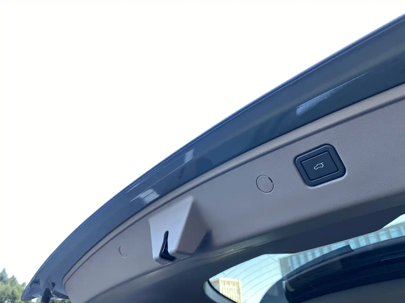 WEI PAI WEI BRAND BLUE MOUNTAIN