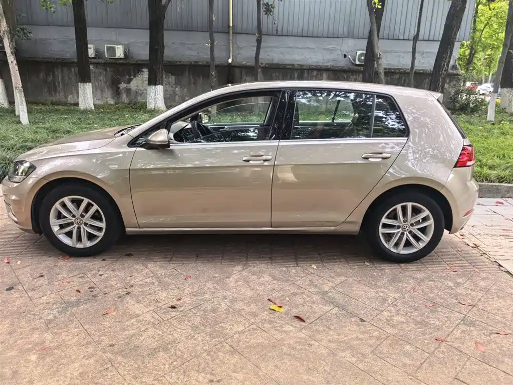 Volkswagen Golf 2018 1.6L Automatic Comfort фото 6
