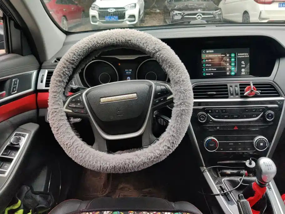 Photo 15 - Leopaard CS10