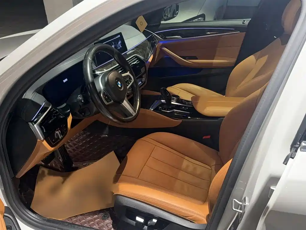 BMW 5 Series 2020 530Li Exclusive M Sport Package фото 11